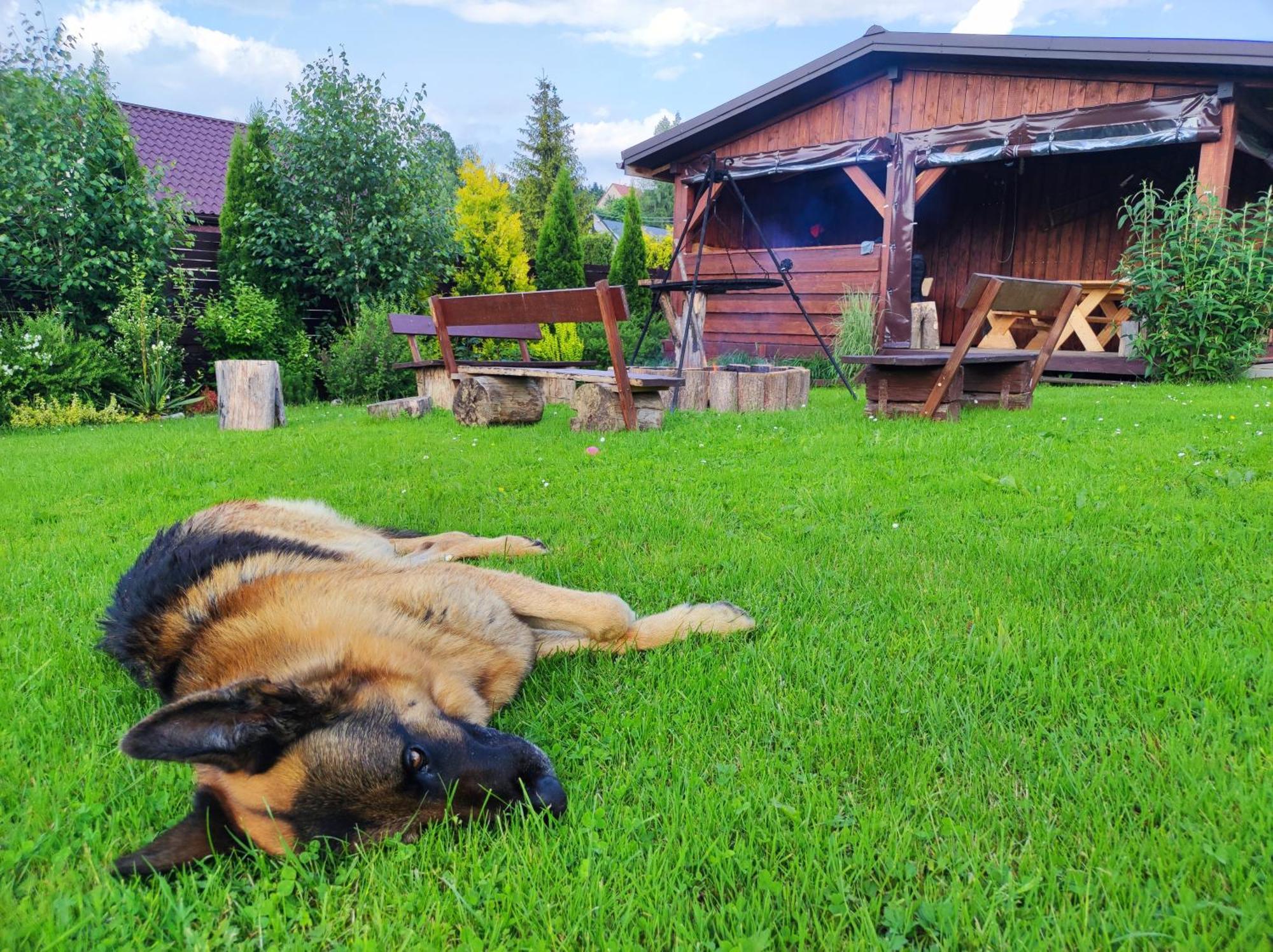 Dom Kowala Villa Jankowce Buitenkant foto